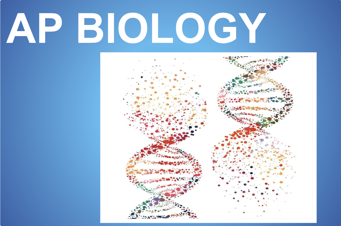 AP Biology